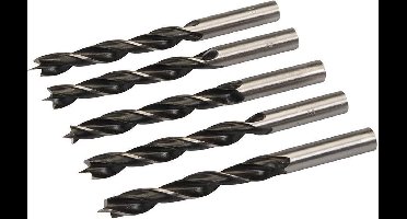 Silverline Houtboor (12 mm, 5 Stuks )