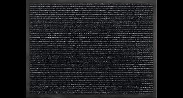 MD Entree - Deurmat - Maxi Dry Stripe - Antraciet - Vloerkleed - Met antislip - Wasbaar- Vocht absorberend - Hoge dichtheid 600gr/m2 - 60 x 80 cm