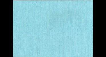 Dutch Wallcoverings Vliesbehang uni bamboe - blauw