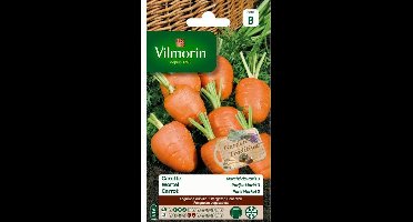 Wortel Parijse Markt - Daucus carota