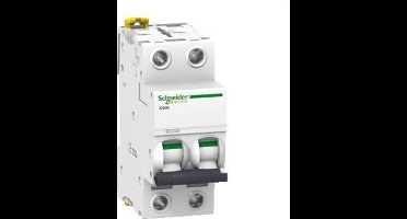 Schneider Electric Merlin Gerin Installatieautomaat A9F74202 SE IC60N 2P C2