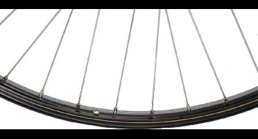 Voorwiel 28x1 12 - 22-635 v38 zwart vast rvs spaak - schothorst velg - ZWART