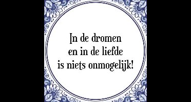 Tegeltje met Spreuk (Tegeltjeswijsheid): In de dromen en in de liefde is niets onmogelijk! + Kado verpakking & Plakhanger