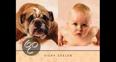 V. Ceelen, Languit