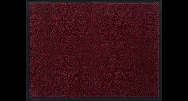 Schoonloopmat 40x60cm