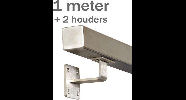 RVS Vierkante Trapleuning 100 cm met 2 houders