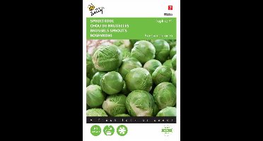 Buzzy® Spruitkool Topline F1