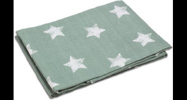 Briljant Robin Stone Green 70x70cm Hydrofiele Luiers 3 stuks 60R