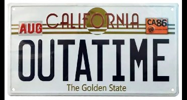 Fanattik Back To The Future Delorean Metalen Kentekenplaat Bord Outatime Wit