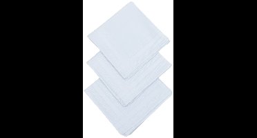 D&L Dames Zakdoeken - Wit - 29 x 29cm - 12 Stuks - 100% Katoen Gesatineerd