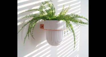 STERKSTAEL Eco Pot Flora S Marble Grey – bloempot voor aan de wand – bloempot voor binnen – zwevende bloempot – bloempotten binnen – plantenbak - diameter 12 cm – kleur pot Lichtgrijs – kleur houder Dusty Rose