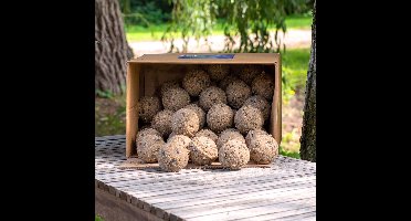 CJ Wildlife 50st Vetbollen met Insecten voor Vogels - Aanbevolen door Vogelbescherming Nederland - Mezenbollen zonder Net - 95 gram per bol - Vogelvoer Buitenvogels - Energierijk Tuinvogelvoer