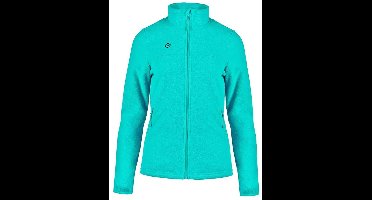 Izas Roncal W Fleece Groen S Vrouw