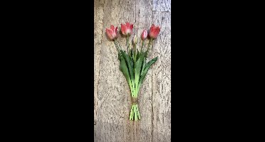 Countryfield - Reeltouch tulpen - 45 cm - Roze