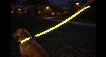 Hondenriem – looplijn Fergu Fluo geel 130 cm – 15 mm breed – nylon – reflecterend – soft handvat met neopreen – shiny karabijnhaak