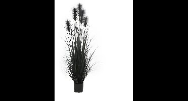 Kunstplant Pluimgras in Pot Zwart - 153 cm