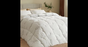 Dekbed 240x220 - 2 Persoons 4 Seizoenen - Wasbaar - Extra Zacht - Wit