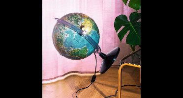 Everything in Motion