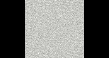 Dutch Wallcoverings - Little Kids- uni grijs - vliesbehang - 10m x 53cm - JR1211