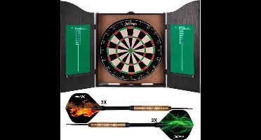 XQMax Home Dart Center