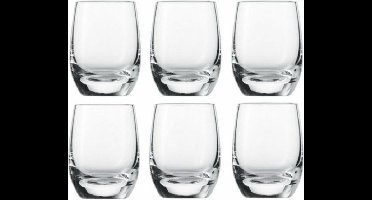 Royal Leerdam shotjes glazen 7cl set van 6