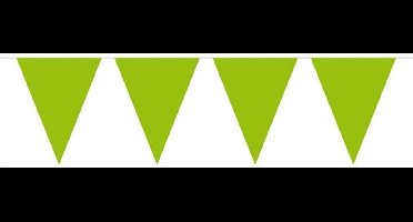 Lime Groene Vlaggenlijn XL - 10 meter