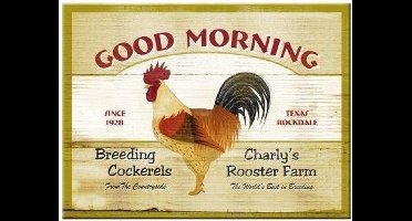 Nostalgic Art metalen magneet HAAN 6 x 8 cm