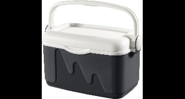 Curver Koelbox - 10L - Antraciet