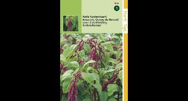 2 stuks Hortitops Amaranthus Caudatus Rood