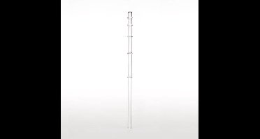 Vitaalwater drinkrietje calamus Nature's design - 24 cm