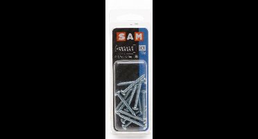 13x SAM Zelftapppende schroef cyl. kop 4,2x32mm C1 816032