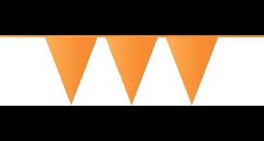 Vlaggenlijn 10mtr oranje 20x30cm