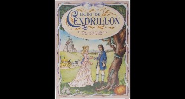 Jumbo assepoester spel - Jeu de cendrillon - Frans - edition francaise