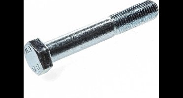 Zeskantbout Verzinkt 8.8 M16X100 - 5511215