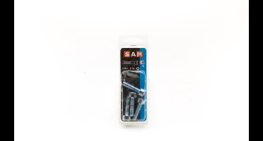 4X  SAM Binnenzeskant bout cyl.kop 8x30mm D2 816508