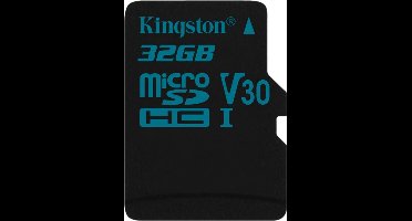Kingston Technology Canvas Go! flashgeheugen 32 GB MicroSDHC Klasse 10 UHS-I