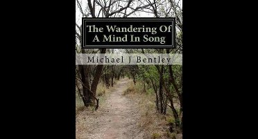 The Wandering of a Mind in Song