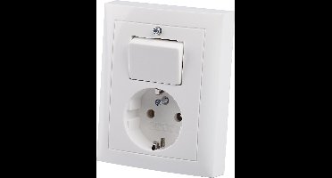 Berker Afdekplaat Combi Wissel Randaarde S1 - Wit