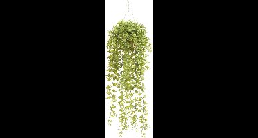 Emerald - Ivy Hangplant - In pot - 50 cm - Groen