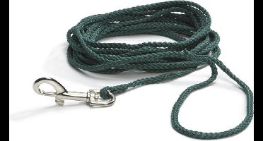 Beeztees Zoeklijn - Hondenriem - Nylon - Groen - 15M