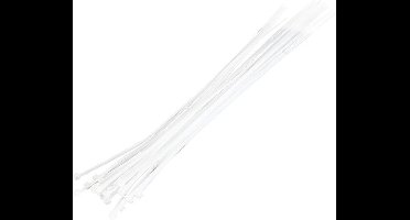 LogiLink KAB0041 Nylon Transparant 100stuk(s) kabelbinder