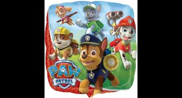 PAW Patrol - Mini Ballon - Folie - Multicolor - 23cm - 1 stuks