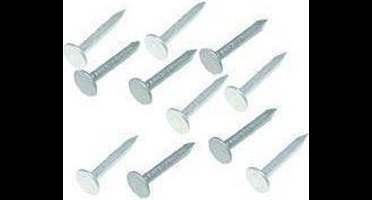 Asfaltnagel verzinkt 3.0x25mm 350 gram. Homefix. Kopspijkers.