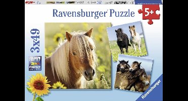 Ravensburger puzzel Schattige Pony's - 3x49 stukjes - kinderpuzzel