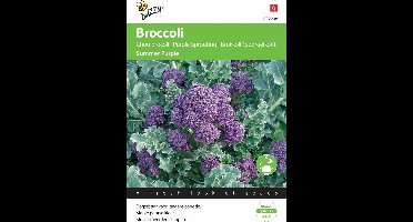 Buzzy® Broccoli Summer Purple