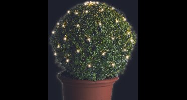Lumineo Buxus kerstverlichting - 60 LED lampjes - warm wit - 35 x 35 cm - lichtnetten - netverlichting - lichtsnoer