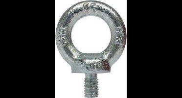 RVS Ringschroeven F402 / DIN 580 - M20