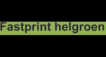 Kopieerpapier Fastprint A4 120gr Helgroen 250vel