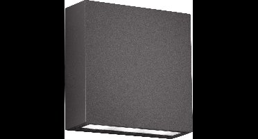 TRIO THAMES - Wandlamp - Antraciet - incl. 2x SMD 3 W - Verlichting omhoog en omlaag - Wandmontage - Niet dimbaar - Buitenverlichting - IP54