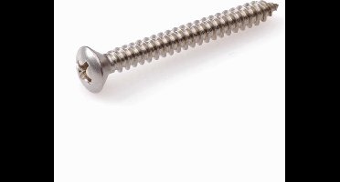 Plaatschroef Lk Philips RVS A2 4.2x50mm - 200 stuks